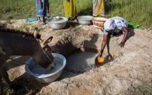 A woman collecting dirty water from a hand-dug well in Nabitenga, Burkina Faso – often the only source of water during dry season when the rivers dry out.